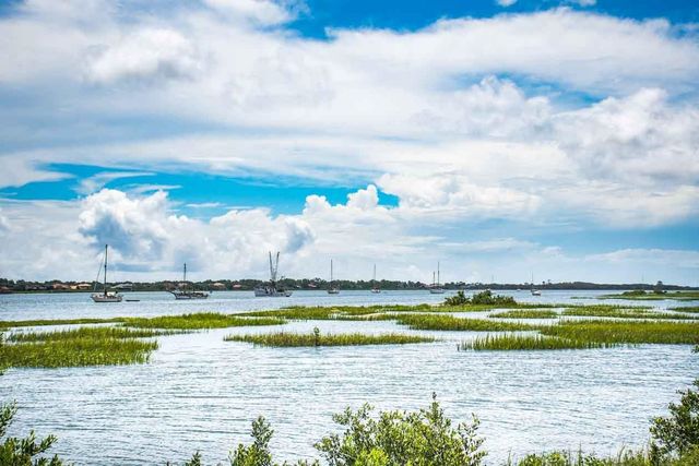 Terrapin Rd - Lots 494 & 495, St Augustine, FL 32086