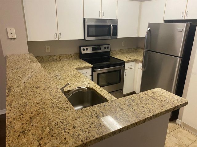 1910 E PALM AVENUE 11117, Tampa, FL 33605
