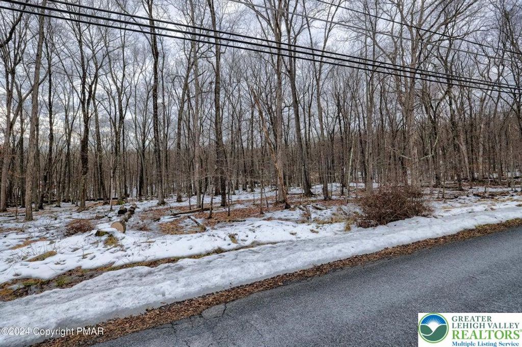 Lots14&15 Pocono Mountain Lake Drive, Pike, PA 18324