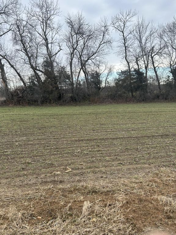 Lot 1 Orlando Avenue, Hastings, MN 55033 — photo 3