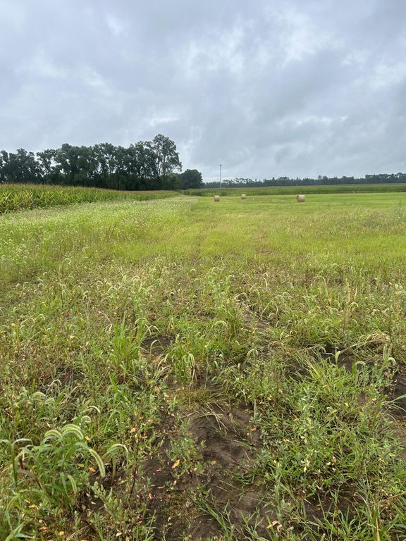 Lot 1 Orlando Avenue, Hastings, MN 55033 — photo 4