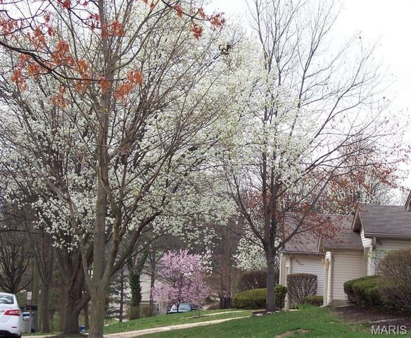 3110 Autumn Shores Drive, Maryland Heights, MO 63043