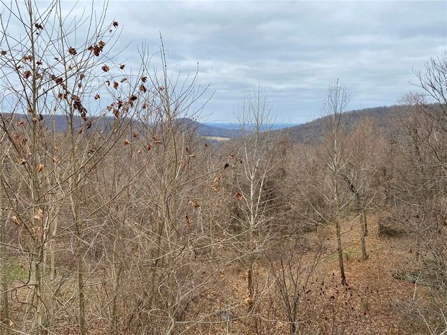 4728 County Road 905, Alpena, AR 72611