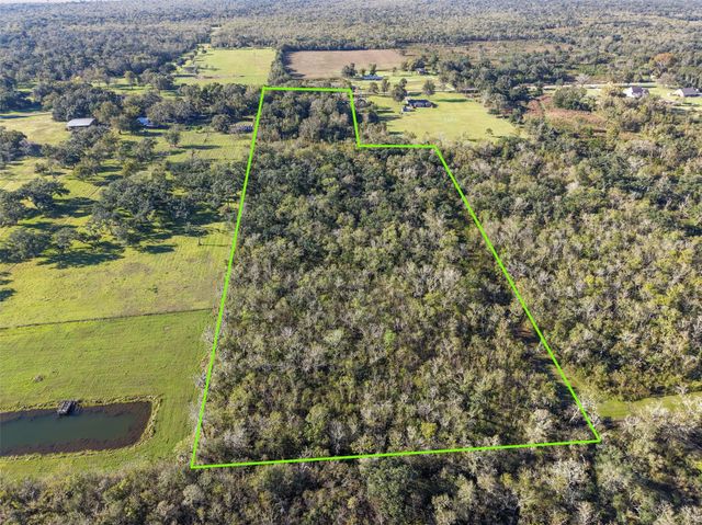 1836 County Road 318, Brazoria, TX 77422