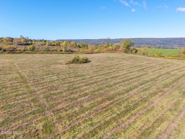 455 Argersinger Road, Glen, NY 12072