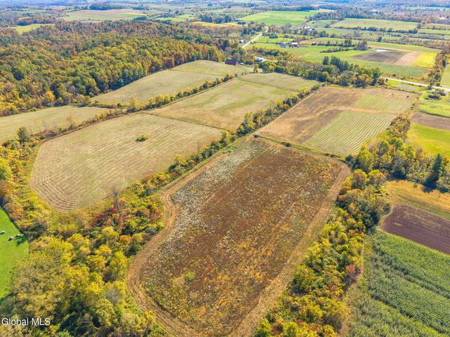 455 Argersinger Road, Glen, NY 12072