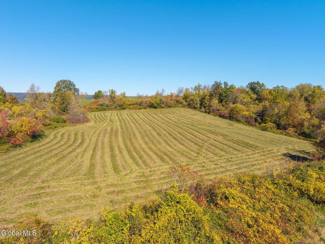 455 Argersinger Road, Glen, NY 12072