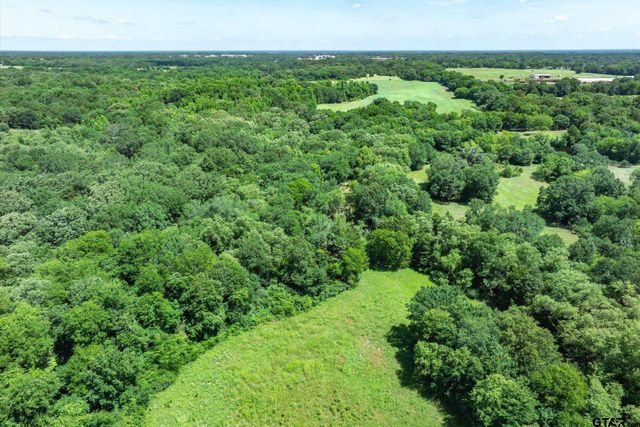 Lot 8 RS CR 1150, Emory, TX 75440