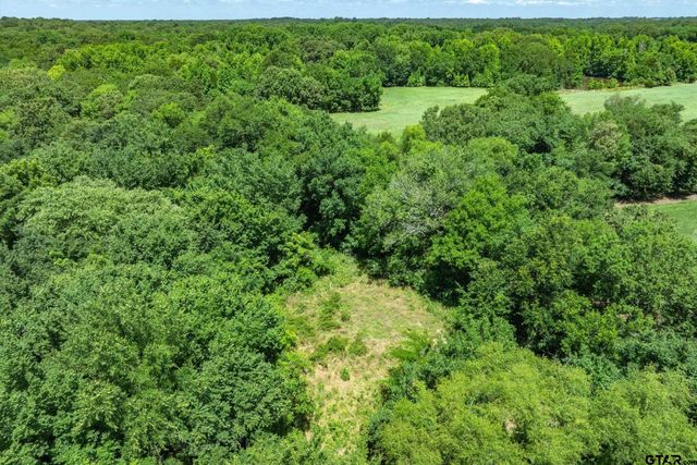 Lot 8 RS CR 1150, Emory, TX 75440