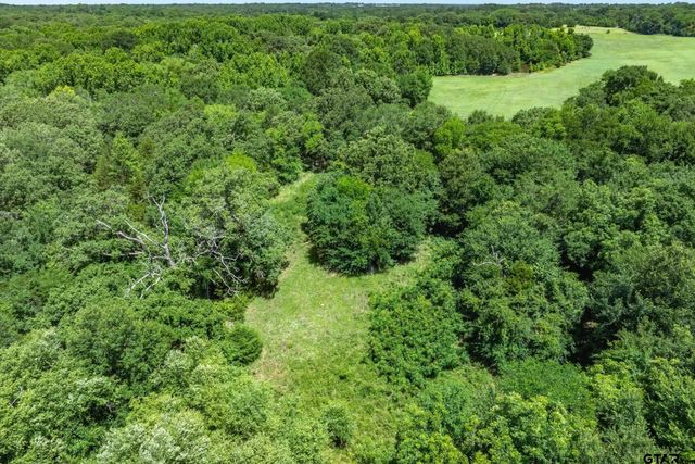 Lot 8 RS CR 1150, Emory, TX 75440