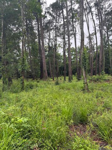 TBD La-16 Highway, Denham Springs, LA 70726