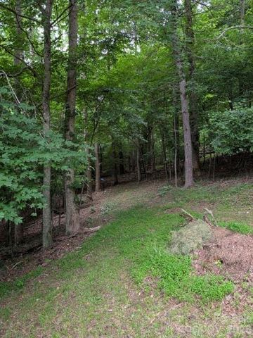59 Ck Cabin Drive, Hot Springs, NC 28743