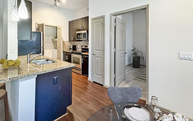 206 Mc Gowen Street 3106, Houston, TX 77006