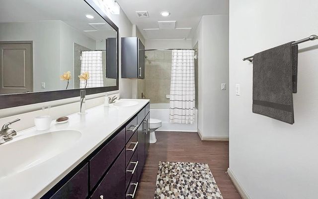 206 Mc Gowen Street 3106, Houston, TX 77006