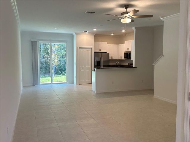 17437 NECTAR FLUME DRIVE, Land O Lakes, FL 34638