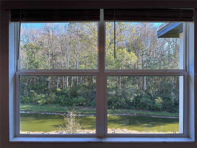 17437 NECTAR FLUME DRIVE, Land O Lakes, FL 34638