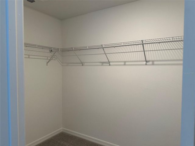 17437 NECTAR FLUME DRIVE, Land O Lakes, FL 34638