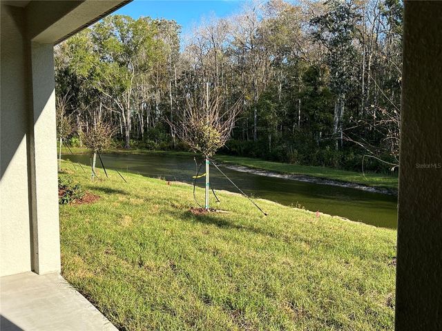 17437 NECTAR FLUME DRIVE, Land O Lakes, FL 34638
