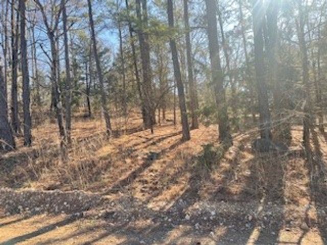 TBD 605 County Rd 152, Eureka Springs, AR 72632