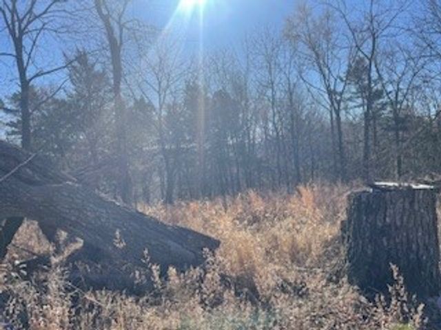 TBD 605 County Rd 152, Eureka Springs, AR 72632