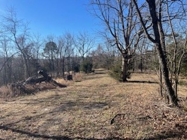TBD 605 County Rd 152, Eureka Springs, AR 72632