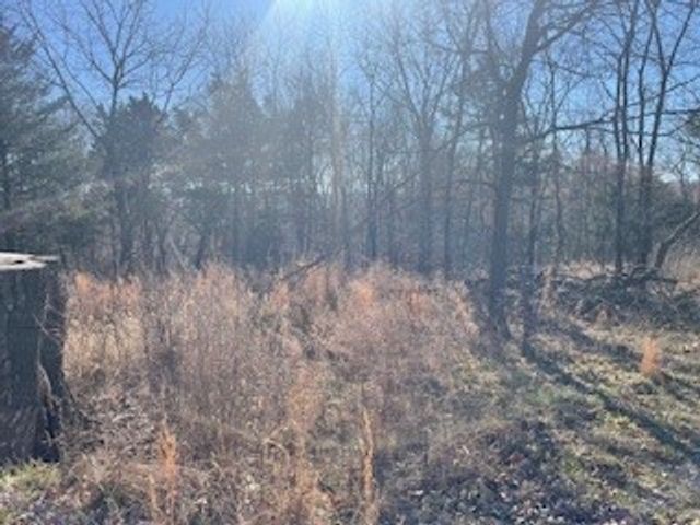 TBD 605 County Rd 152, Eureka Springs, AR 72632