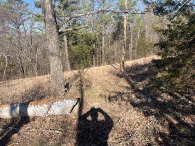 TBD 605 County Rd 152, Eureka Springs, AR 72632