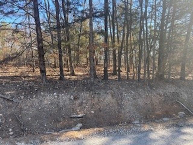 TBD 605 County Rd 152, Eureka Springs, AR 72632