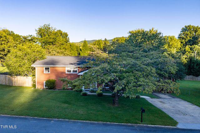1715 Mcclellan Drive, Johnson City, TN 37604