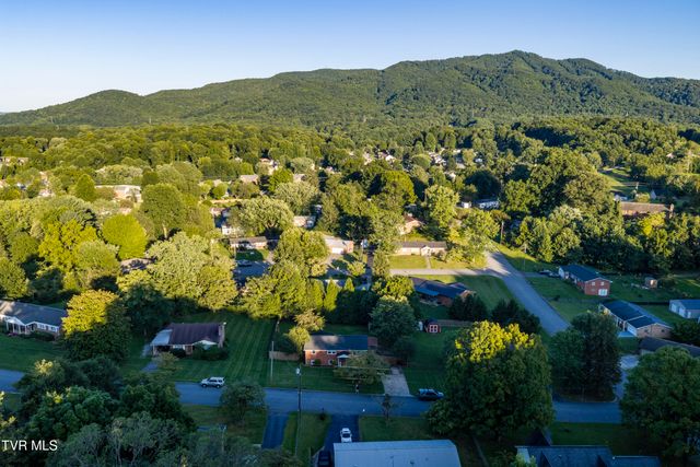 1715 Mcclellan Drive, Johnson City, TN 37604