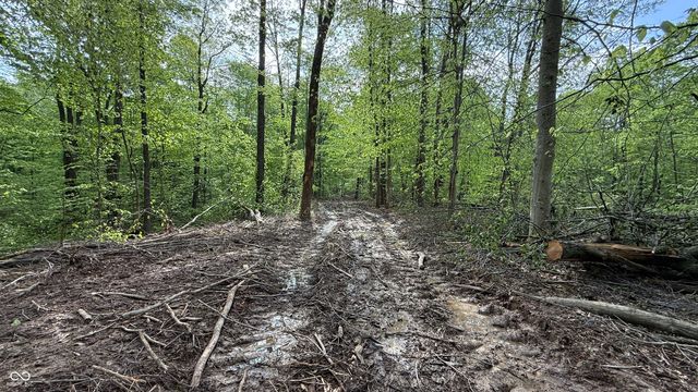 0 Fiscus Cemetery Road, Coal City, IN 47427