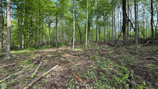 0 Fiscus Cemetery Road, Coal City, IN 47427