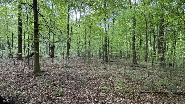 0 Fiscus Cemetery Road, Coal City, IN 47427