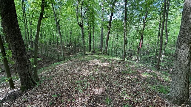 0 Fiscus Cemetery Road, Coal City, IN 47427