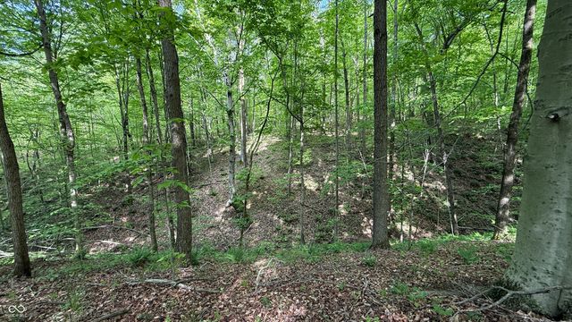 0 Fiscus Cemetery Road, Coal City, IN 47427