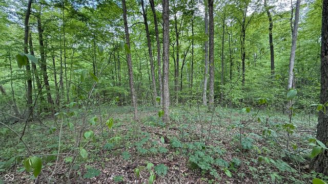 0 Fiscus Cemetery Road, Coal City, IN 47427