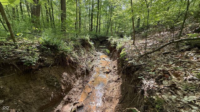 0 Fiscus Cemetery Road, Coal City, IN 47427