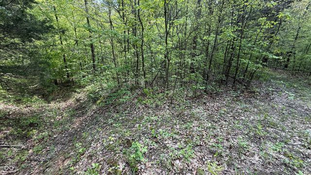 0 Fiscus Cemetery Road, Coal City, IN 47427