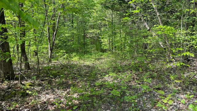 0 Fiscus Cemetery Road, Coal City, IN 47427