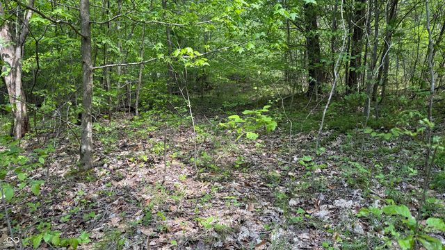 0 Fiscus Cemetery Road, Coal City, IN 47427