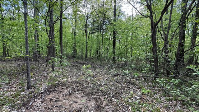 0 Fiscus Cemetery Road, Coal City, IN 47427