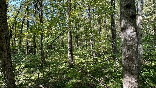 0 Fiscus Cemetery Road, Coal City, IN 47427