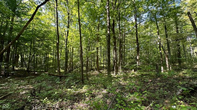 0 Fiscus Cemetery Road, Coal City, IN 47427