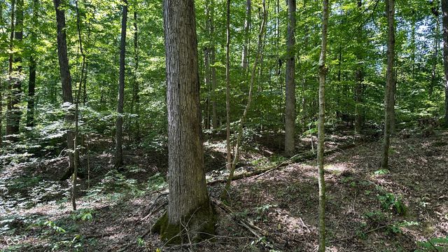 0 Fiscus Cemetery Road, Coal City, IN 47427