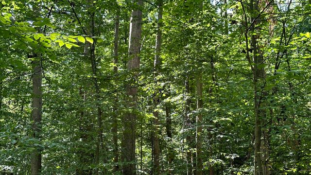 0 Fiscus Cemetery Road, Coal City, IN 47427