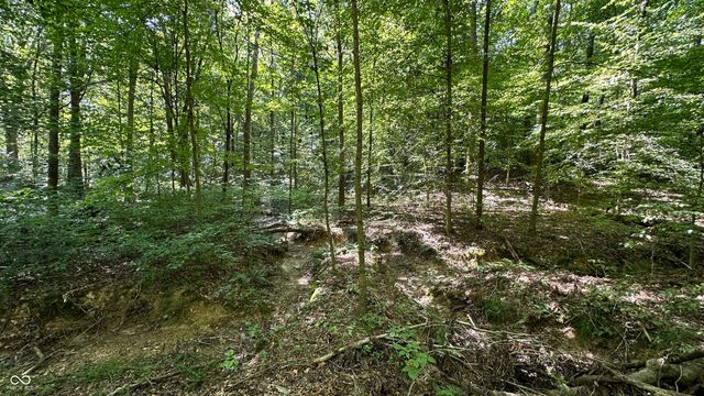 0 Fiscus Cemetery Road, Coal City, IN 47427