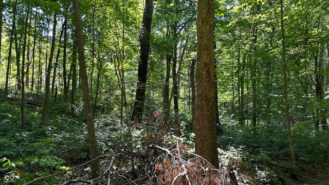 0 Fiscus Cemetery Road, Coal City, IN 47427