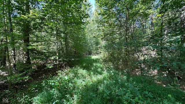 0 Fiscus Cemetery Road, Coal City, IN 47427