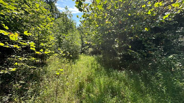 0 Fiscus Cemetery Road, Coal City, IN 47427