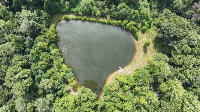 0 Fiscus Cemetery Road, Coal City, IN 47427